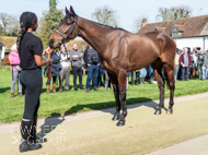 NH220326-36 - Thewoodcorner